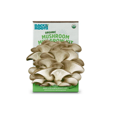  Back to the Roots Organic Pearl Oyster Mushroom Mini Grow Kit, for Indoor Gardening and Cooking
