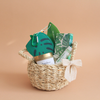 Tropical Joy Basket