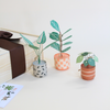 Peace, Love & Plants Gift Set
