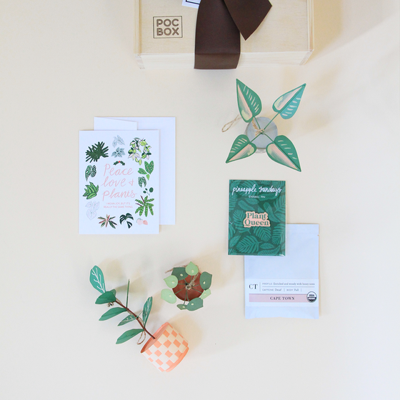 Peace, Love & Plants Gift Set